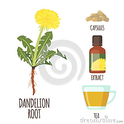 Dandelion set in flat style isolated on white Vector Illustration