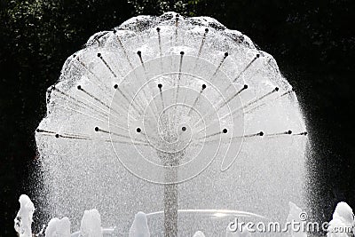 Dandelion shaped artesian water well Stock Photo