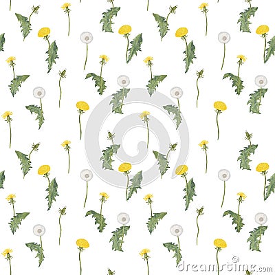 Dandelion spring flowers pattern Stock Photo