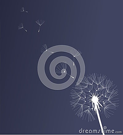 Dandelion Vector Illustration