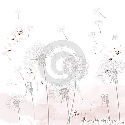 Dandelion vector illustration, rustic minimalist style, dreaming morning scene, soft pink, white clean background Vector Illustration