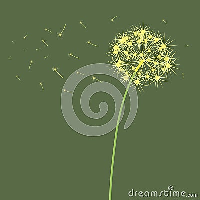 The dandelion which is blown . Vector Illustration