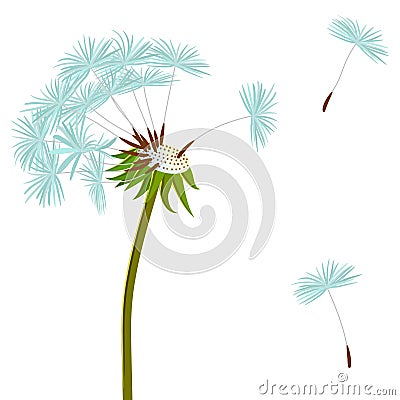 Dandelion on the wind Vector Illustration