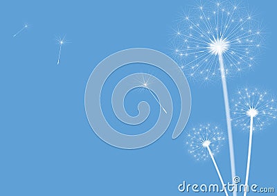 Dandelions blue Vector Illustration