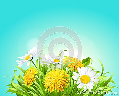 Dandelions and camomile Vector Illustration