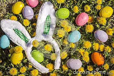 Dandelions flowers with Easter eggs Stock Photo