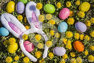 Dandelions flowers with Easter eggs Stock Photo