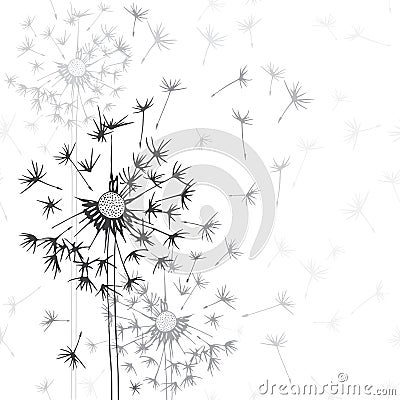 Dandelions . Hand-drawn floral background, monochrome il Cartoon Illustration