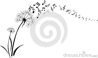 Dandelions with note music flying on white background Stock Photo