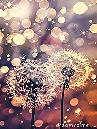 Dandelions with seeds dispersing into sparkling lights., Generated AI Stock Photo