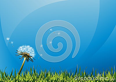 Dandelions on summer field Cartoon Illustration