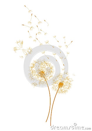 Dandelions and Wind - vector Vector Illustration