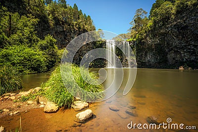 Dangar Falls in the Rainforest of Dorrigo National Park, Australia Stock Photo