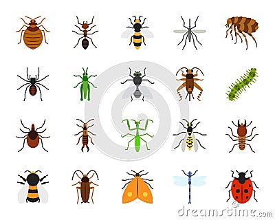 Danger Insect simple flat color icons vector set Vector Illustration