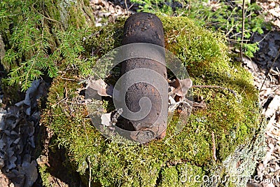 Concept of danger: military old whizbang, artillery rusty whizzbang high explosive of the World War 2 in thicket forest of Belarus Stock Photo