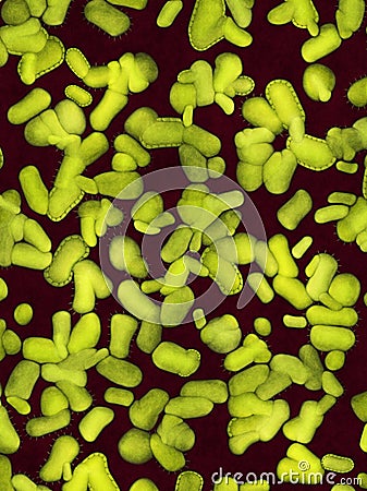 Dangerous bacteria Stock Photo