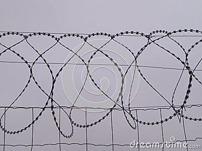Dangerous barbed wire protection security reserve cut Stock Photo