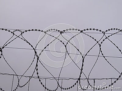dangerous barbed wire protection security reserve cut Stock Photo