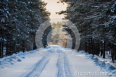 Dangerous difficult road in winter forest Stock Photo