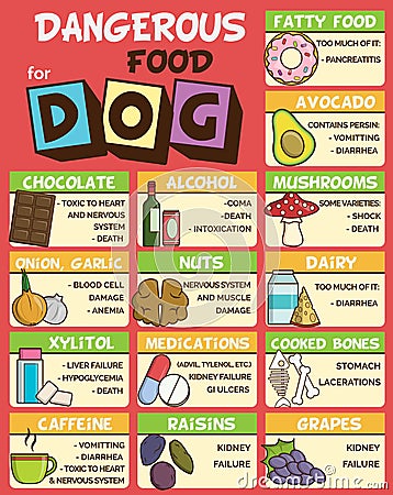 Dangerous food for dogs Vector Illustration