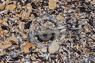Dangerous glass fragments from broken bottles on the coast of the sea. Glass dangerous trash on the beach Stock Photo
