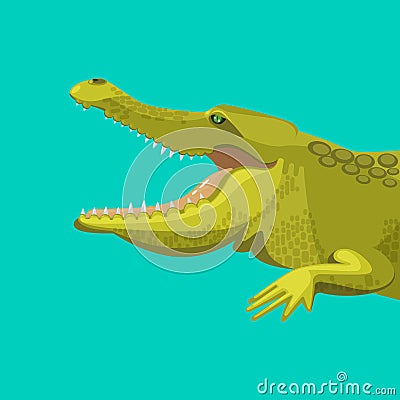 Dangerous green alligator is showing his teeth Vector Illustration