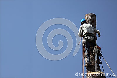 Dangerous Jobs Tree Trimmer Stock Photo