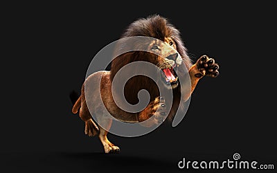 Action of Dangerous Lion with Clipping Path Stock Photo