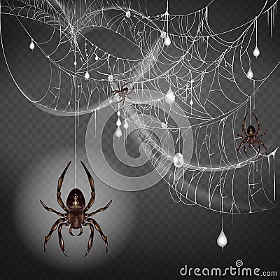 Scarifying spiders on web lace realistic vector Vector Illustration