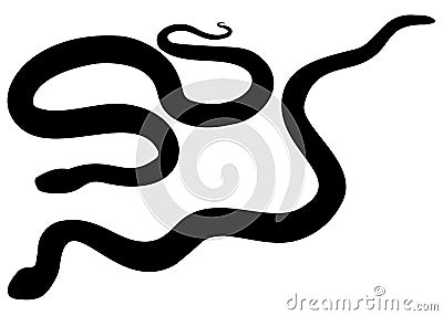 Dangerous poisonous snakes in the set Vector Illustration