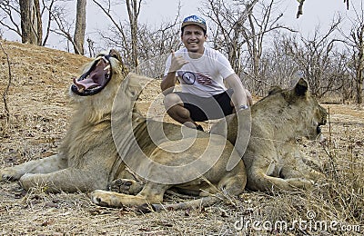 Dangerous Pose with Lion and Lioness Stock Photo