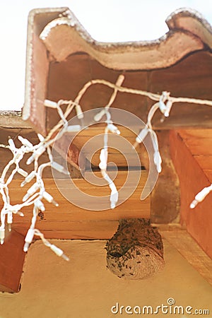 Dangerous wasp nest Stock Photo