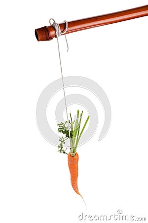 Dangling carrot Stock Photo