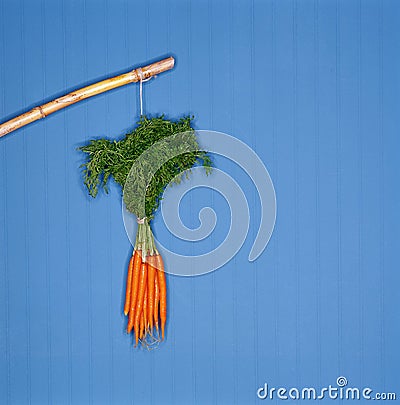 Dangling carrots Stock Photo