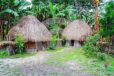 Dani Village. Baliem Valley Papua, Irian Jaya, Indonesian New Guinea Stock Photo