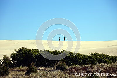 Danimarca, Skagen, Rabijerg Mile Editorial Stock Photo