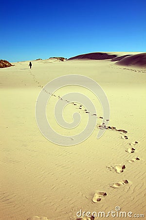 Danimarca, Skagen, Rabijerg Mile Editorial Stock Photo