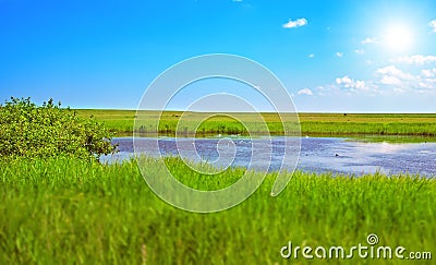 Danish summer landscape Stock Photo