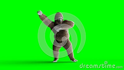 Danse brune drôle de gorille Fourrure et cheveux réalistes superbes animation verte de l'écran 4k illustration libre de droits Danse brune drôle de gorille Fourrure et cheveux réalistes superbes animation verte de l'écran 4k illustration libre de droits