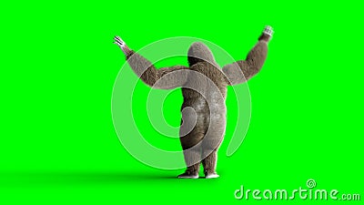 Danse brune drôle de gorille Fourrure et cheveux réalistes superbes animation verte de l'écran 4k illustration de vecteur Danse brune drôle de gorille Fourrure et cheveux réalistes superbes animation verte de l'écran 4k illustration de vecteur