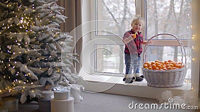 Danses Contentes De Bebe Par La Fenetre En Mangeant Mandarin Banque De Videos Video Du Noel Fille