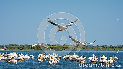 Danube Delta - European Travel Destination Stock Photo