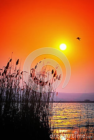 Danube Delta sunset Stock Photo