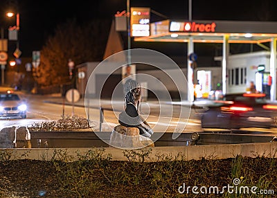 Roundabout traffic with Danube Mermaid Editorial Stock Photo