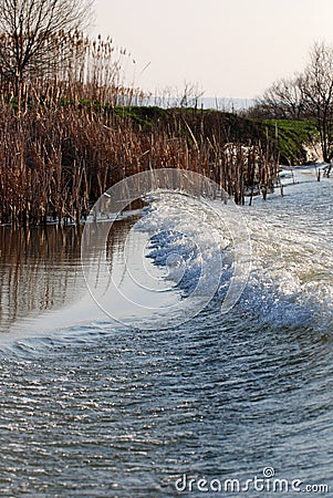 Danube river delta Stock Photo