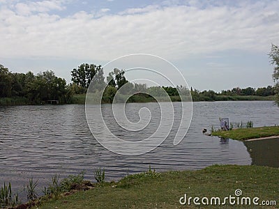 Danube tisa tree nature fishing river Stock Photo