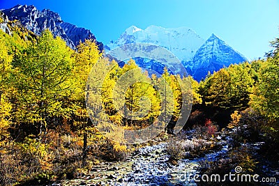 Daocheng Yading , a national level nature reserve in China Stock Photo