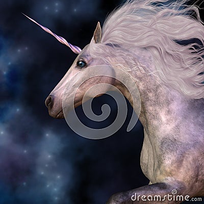 Dapple Grey Unicorn Stock Photo