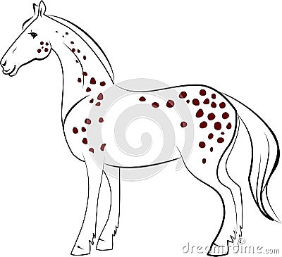 Dapple horse Vector Illustration