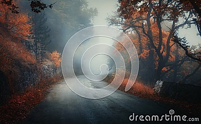 Dark autumn forest with rural road in fog at dusk Stock Photo